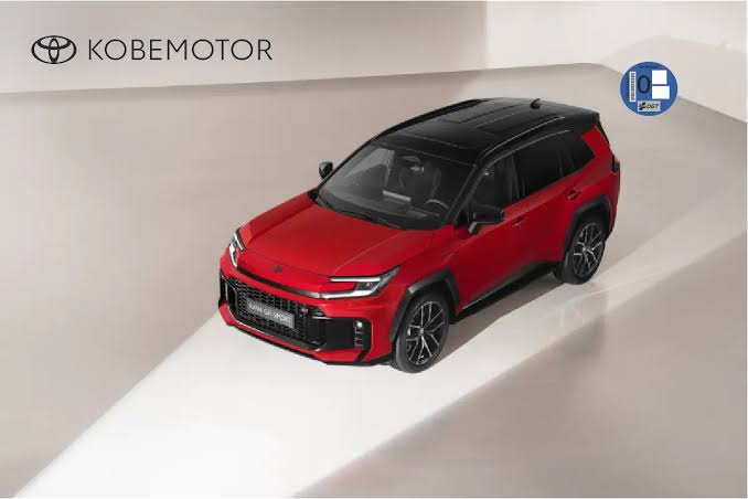 Renting RAV4 Plug-In para particulares