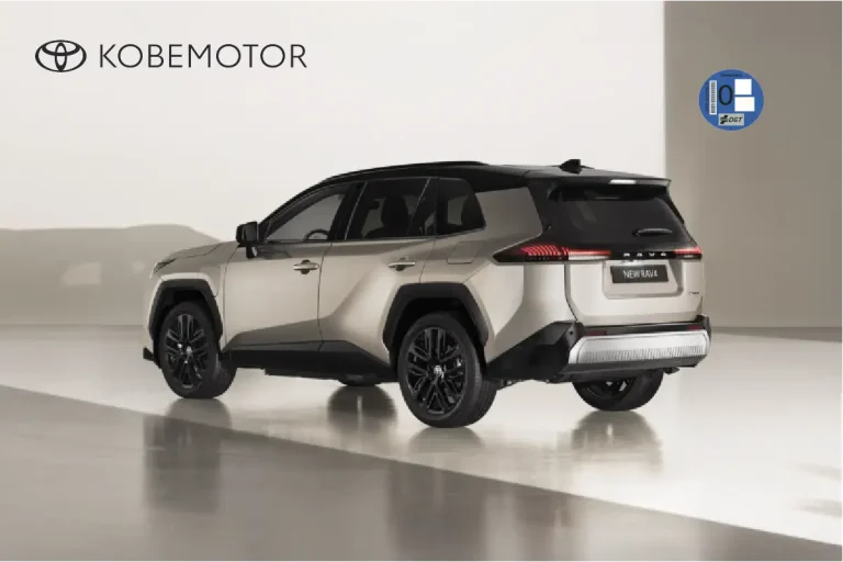 Oferta Toyota RAV4 Plug-In