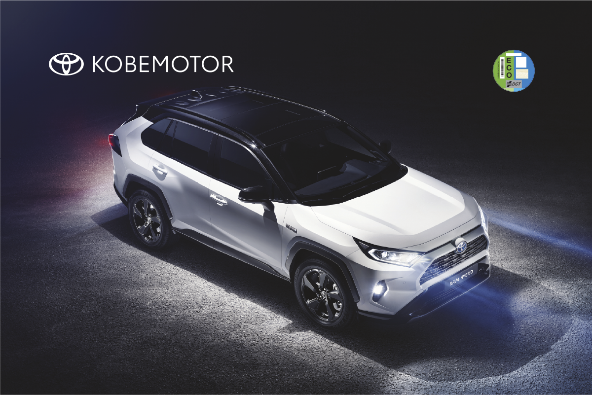Oferta Toyota RAV4 Hybrid