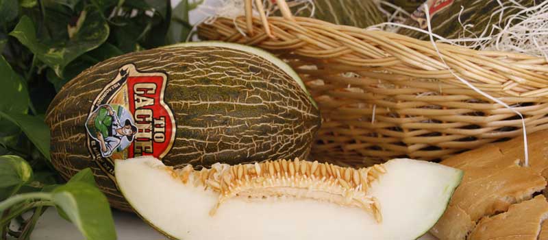 Villaconejos Melon