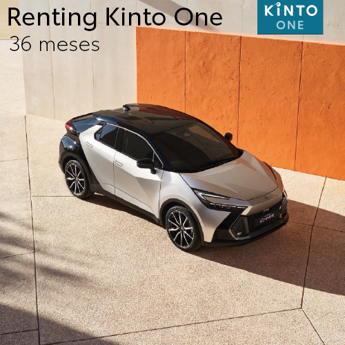 renting coche a 36 meses