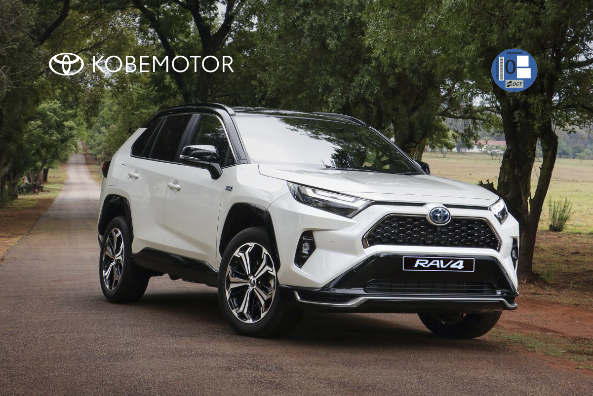 Ofertas Toyota Rav4 Plug-In para empresas