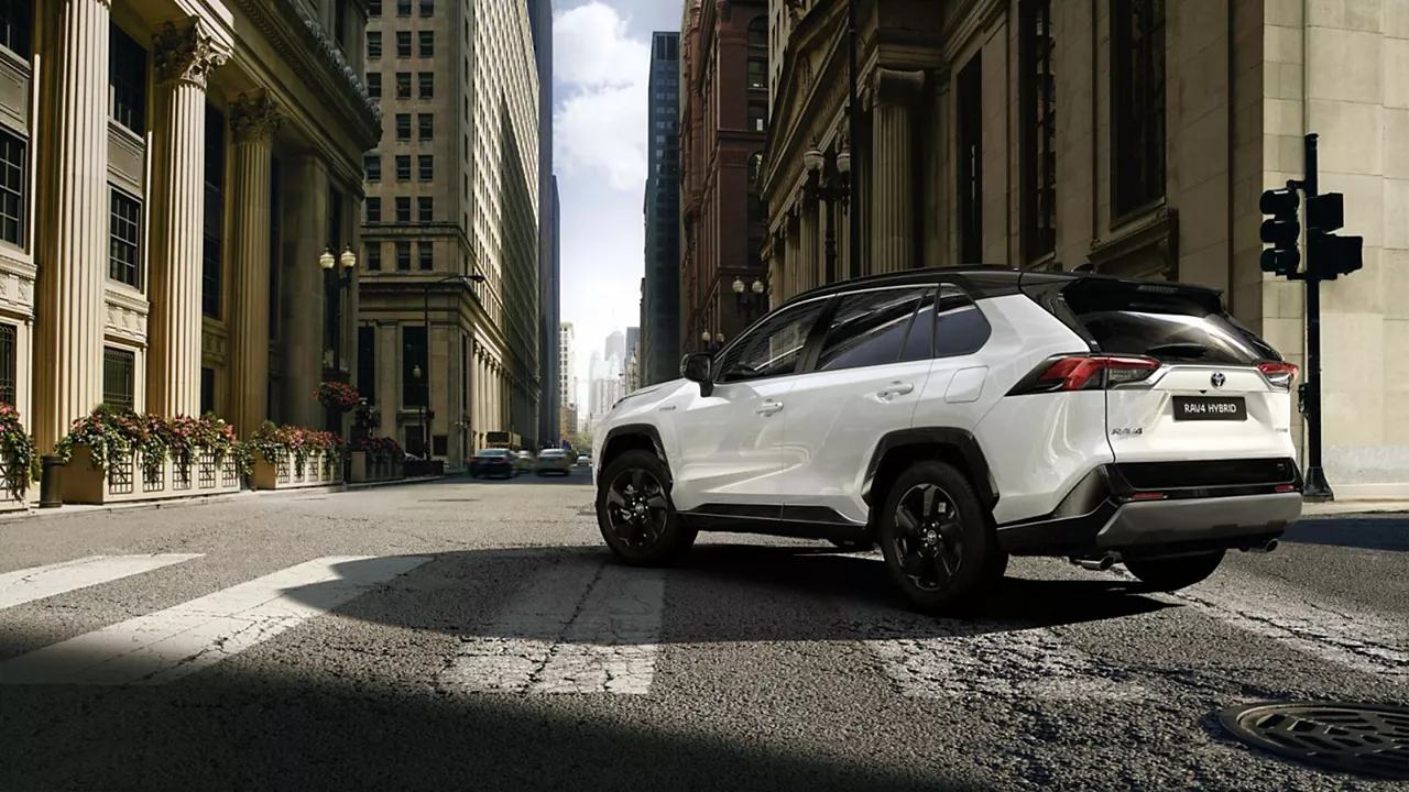 RAV4 trasera