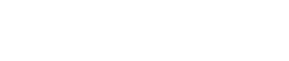 Toyota Professional